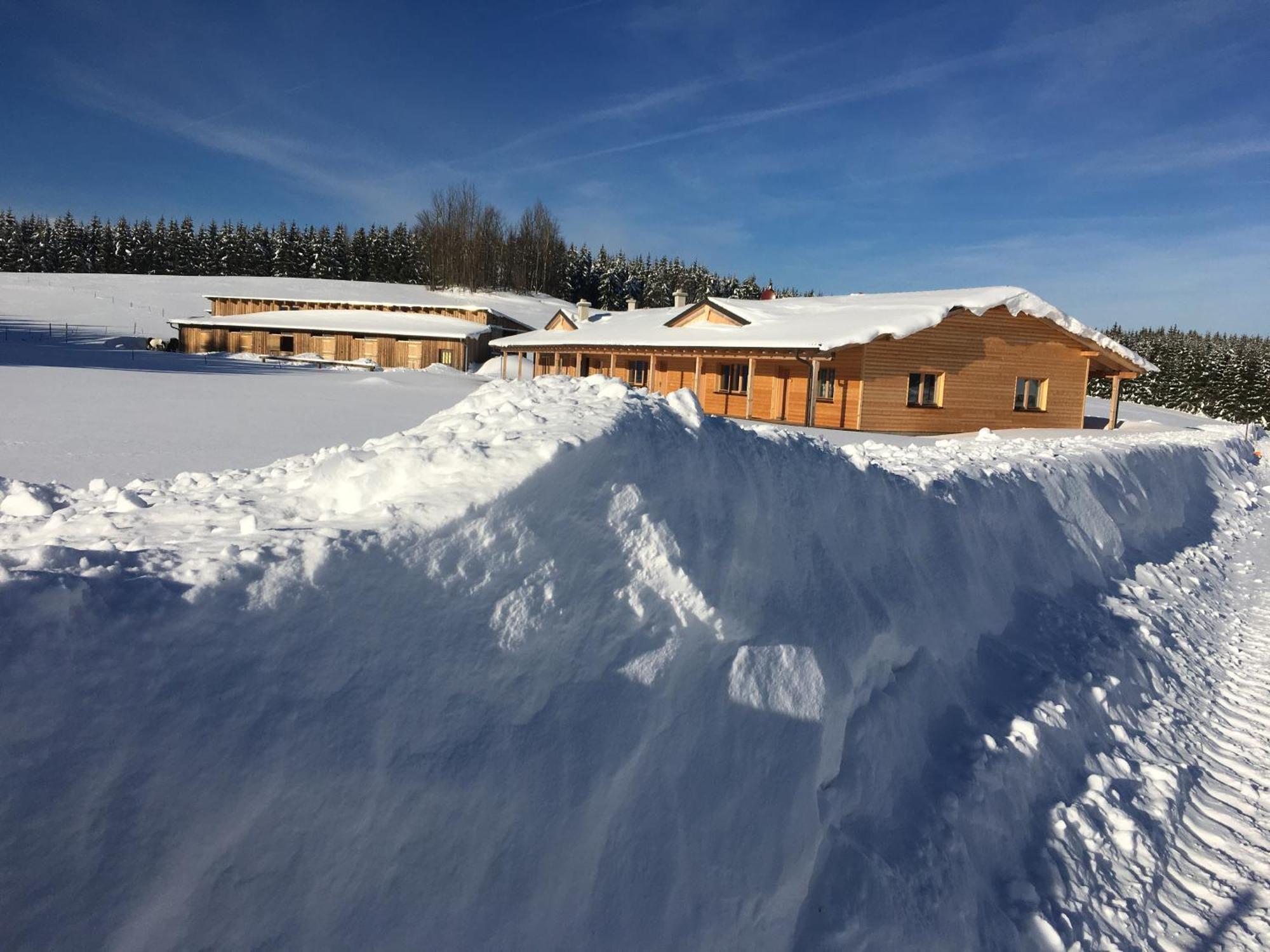 Big Sky Ranch Bed & Breakfast Liebenau  Exterior foto